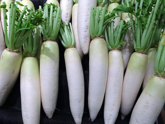 Radish(Mullangi)